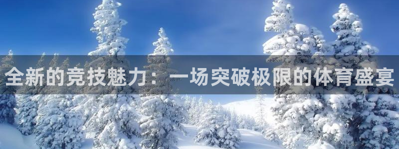 德国利记官方正版app集团：全新的竞技魅力：一场突破