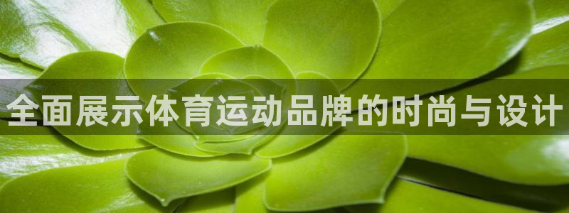 利记官方正版app娱乐平台：全面展示体育运动品牌的时