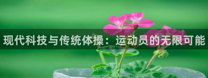 利记官网下载平台注册要钱吗安全吗：现代科技与传统体操