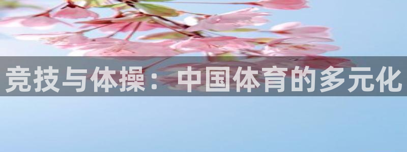 利记官方正版app集团E.ON：竞技与体操：中国体育