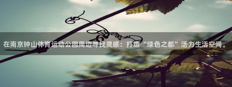 利记官方正版app娱乐40996：在南京钟山体育运动