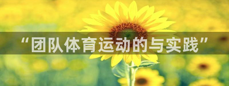 利记官方正版app神州：“团队体育运动的与实践”