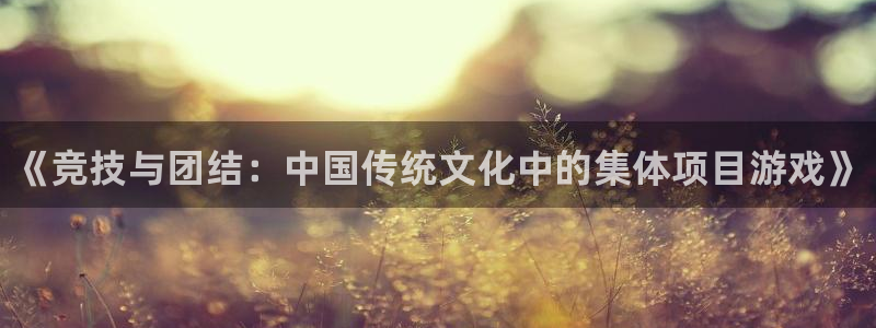 利记官方正版app娱乐是那个系列的台子：《竞技与团结