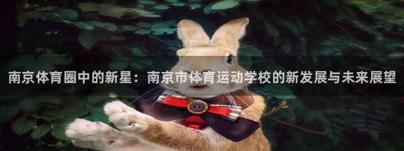 利记官方正版app娱乐40996：南京体育圈中的新星
