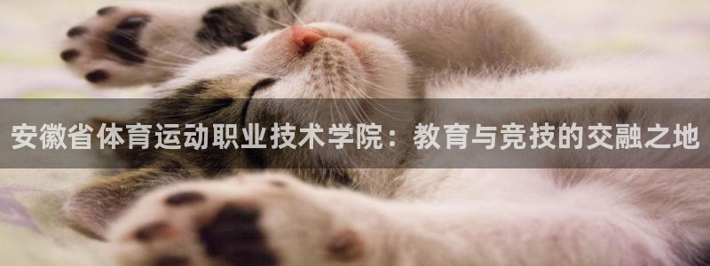 利记官网下载平台注册要钱吗：安徽省体育运动职业技术学