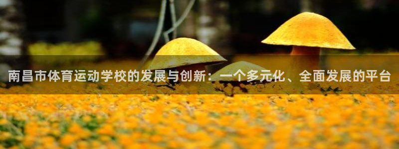 利记官网下载注册：南昌市体育运动学校的发展与创新：一