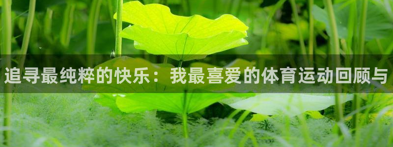利记官网下载招商电话是多少啊