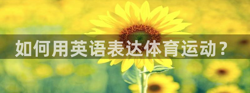 利记官网下载平台注册要钱吗安全吗：如何用英语表达体育