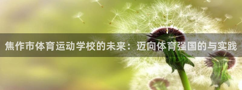 利记官网下载平台注册要钱吗：焦作市体育运动学校的未来