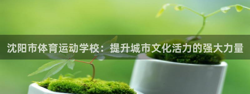 利记官方正版app集团官网网址：沈阳市体育运动学校：