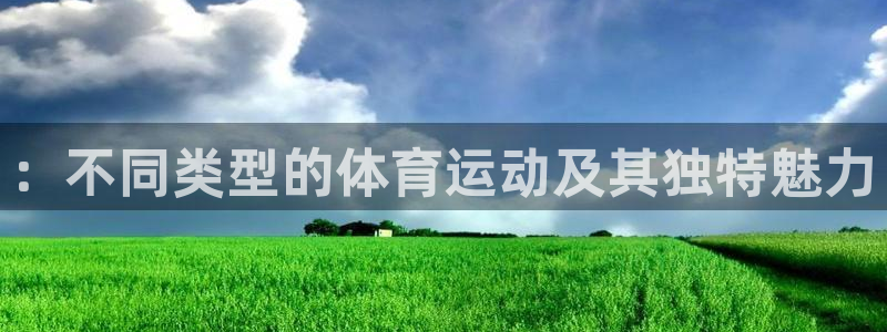 利记官方正版app集团：：不同类型的体育运动及其独特魅力