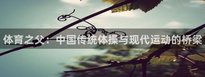 利记官网下载平台是正规平台吗：体育之父：中国传统体操与现代运