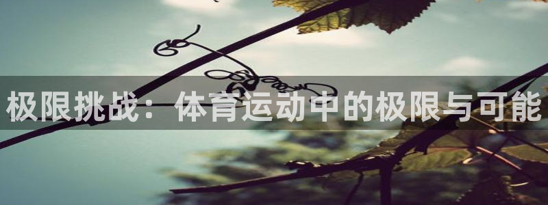 利记官网下载招商：极限挑战：体育运动中的极限与可能