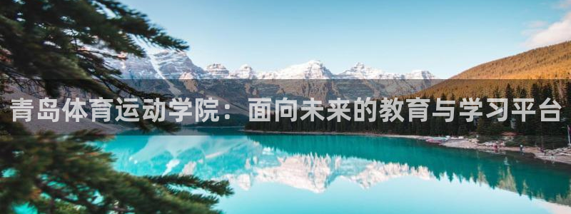 利记官方正版app集团E.ON：青岛体育运动学院：面向未来的