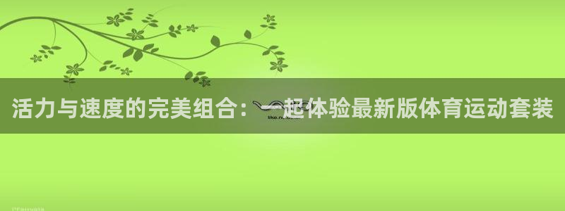 注册利记官方正版app：活力与速度的完美组合：一起体