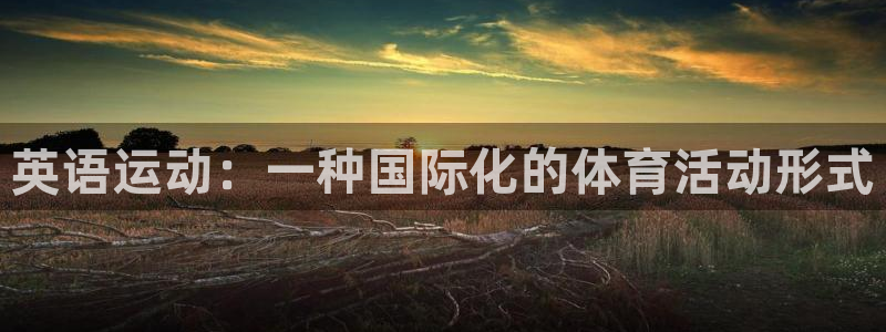 利记官方正版app集团官网网址：英语运动：一种国际化