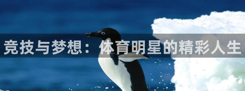 利记官网下载平台注册要钱吗是真的吗：竞技与梦想：体育明星的精