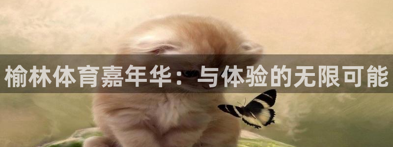 利记官网下载平台注册要钱吗安全吗：榆林体育嘉年华：与体验的无