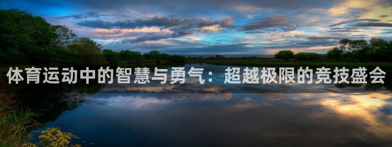 利记官网下载平台注册要钱吗：体育运动中的智慧与勇气：