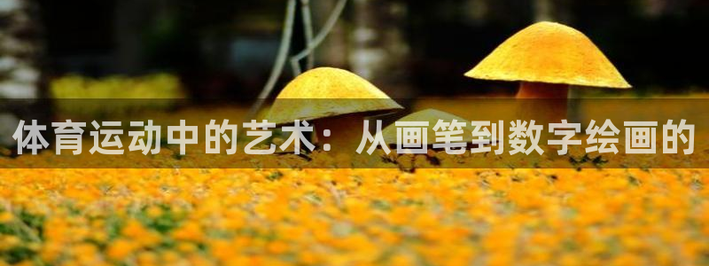 利记官网下载平台是正规平台吗：体育运动中的艺术：从画笔到数字