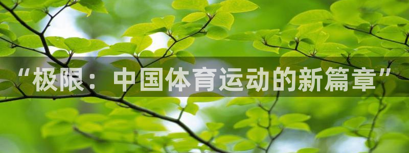 利记官网下载软件：“极限：中国体育运动的新篇章”