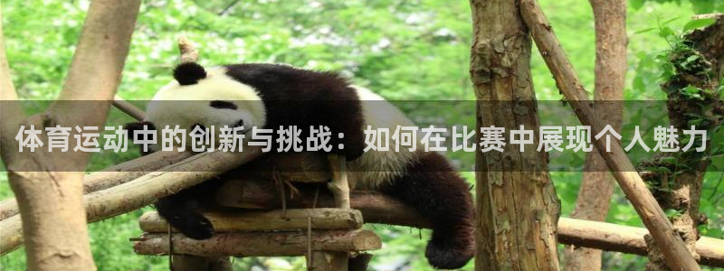 利记官网下载招商电话是多少