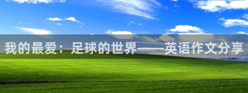 利记官网下载平台是正规平台吗安全吗：我的最爱：足球的世界——