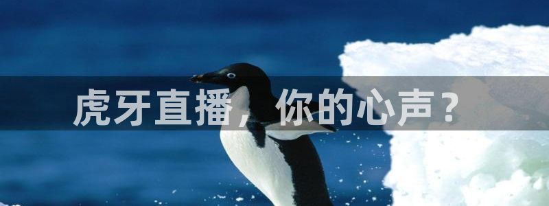 河豚搞笑：虎牙直播，你的心声？