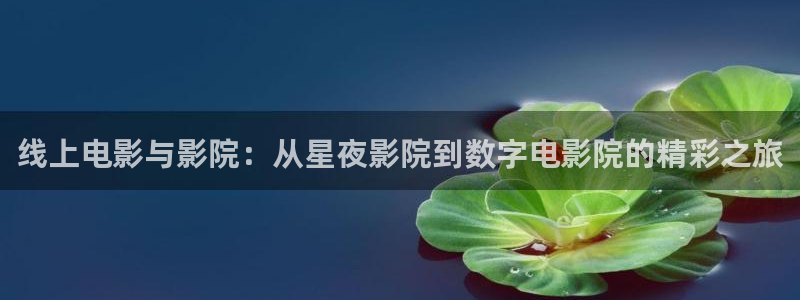 河豚的直播网：线上电影与影院：从星夜影院到数字电影院的精彩之旅