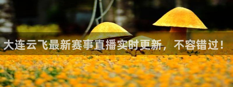 河豚体育免费直播：大连云飞最新赛事直播实时更新，不容错过！
