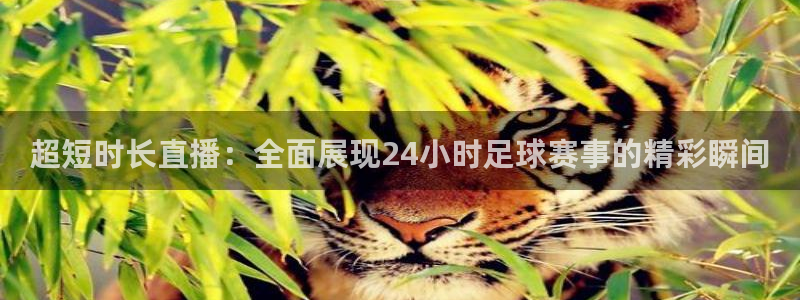 河豚直播：超短时长直播：全面展现24小时足球赛事的精彩瞬间