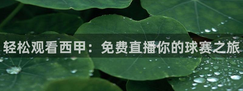 河豚在线直播nba：轻松观看西甲：免费直播你的球赛之旅