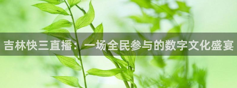 河豚体育直播在线播放：吉林快三直播：一场全民参与的数字文化盛宴